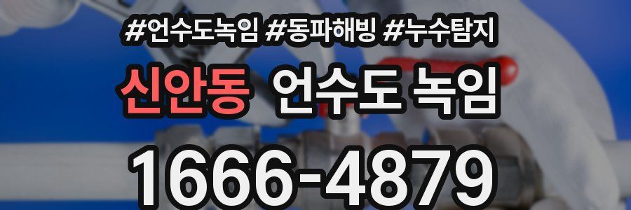 신안동 언수도 녹임