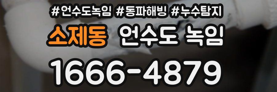 소제동 언수도 녹임