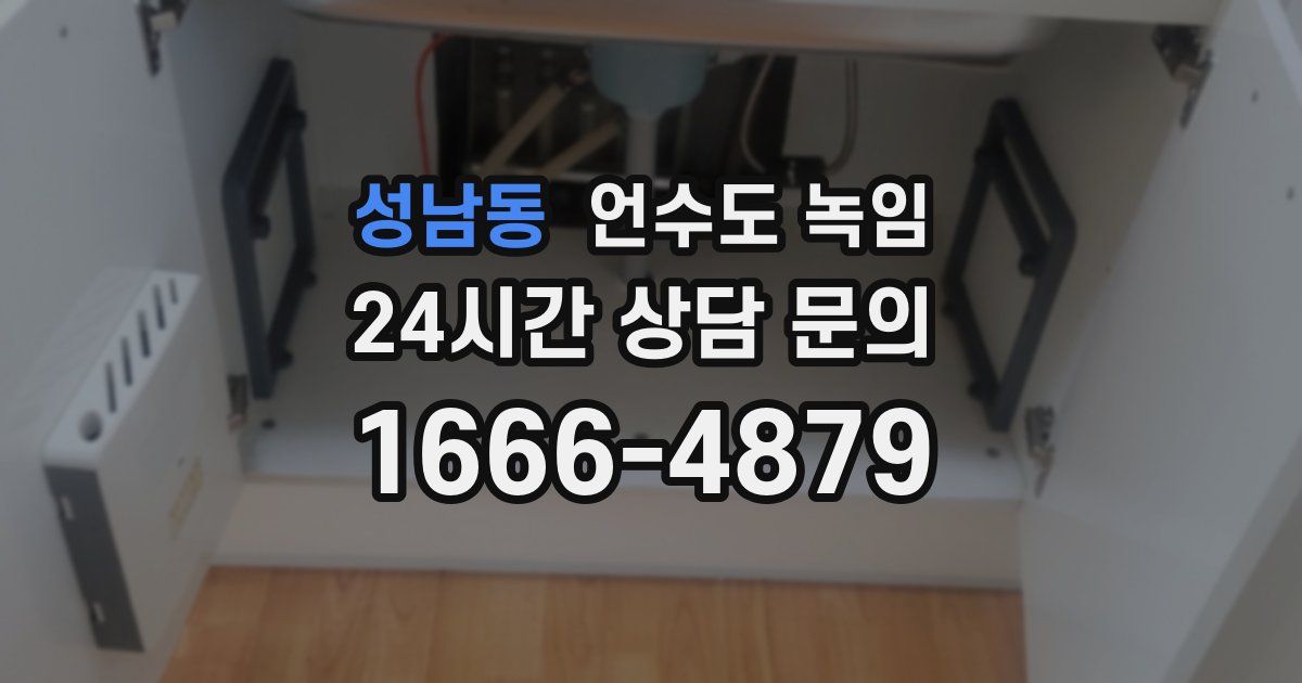 성남동 언수도 녹임