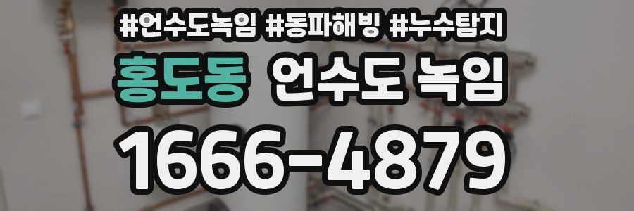 홍도동 언수도 녹임