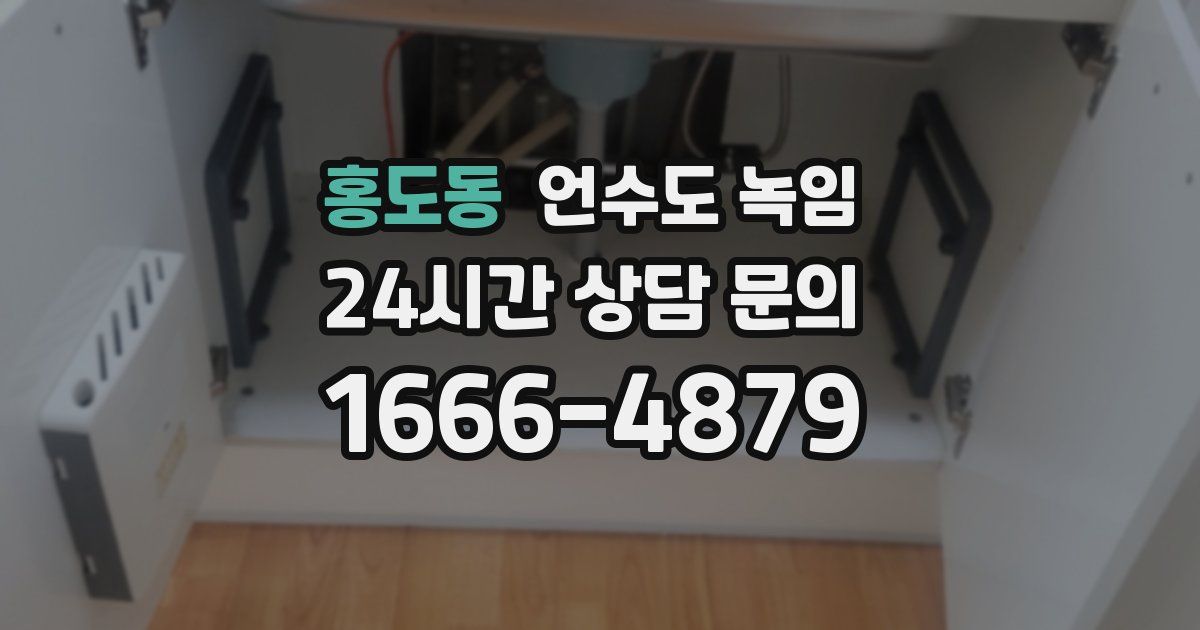 홍도동 언수도 녹임