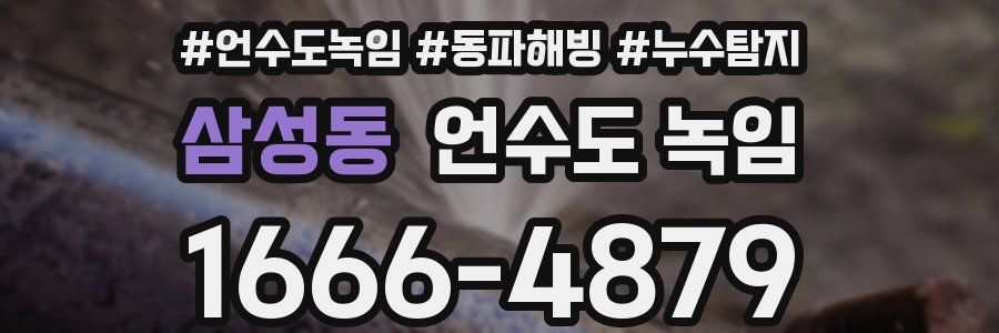 삼성동 언수도 녹임