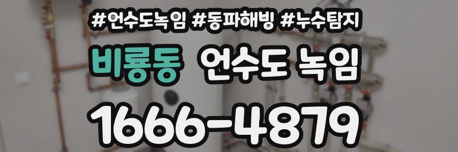 비룡동 언수도 녹임