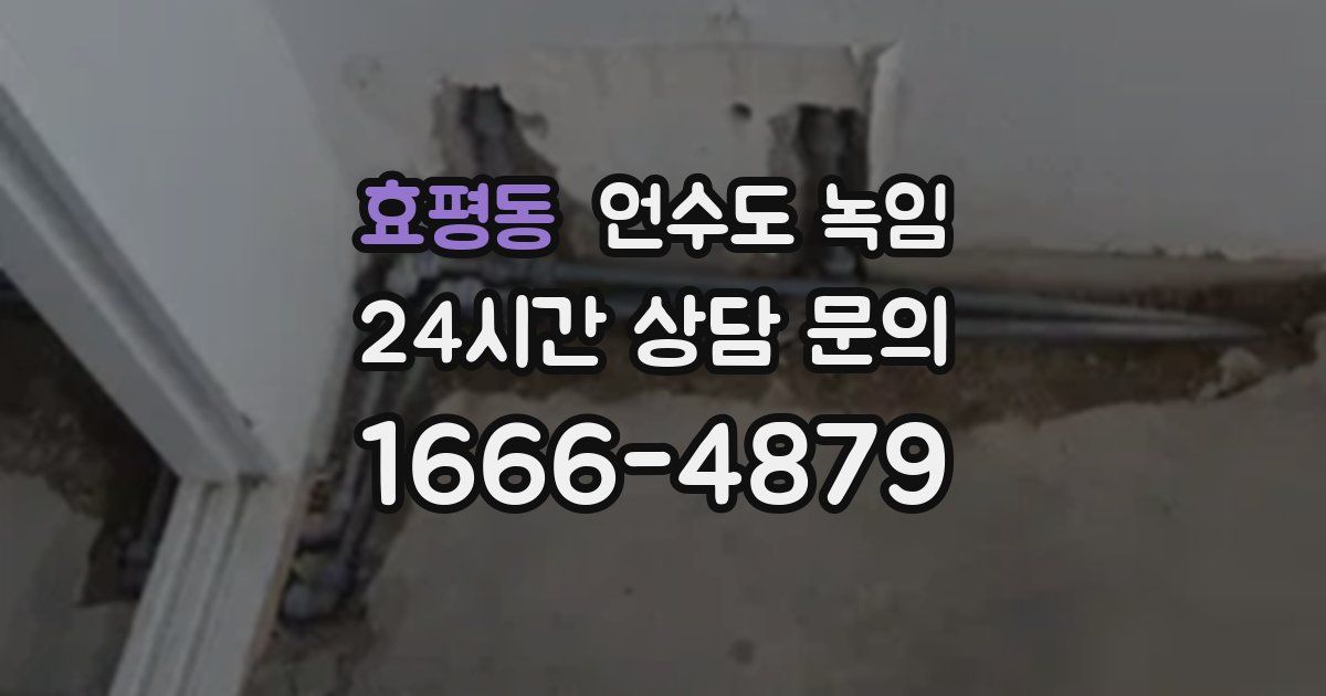 효평동 언수도 녹임
