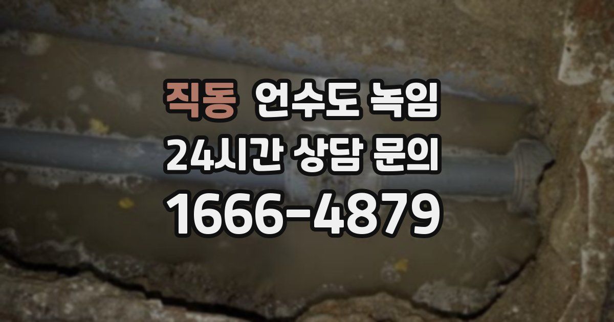 직동 언수도 녹임