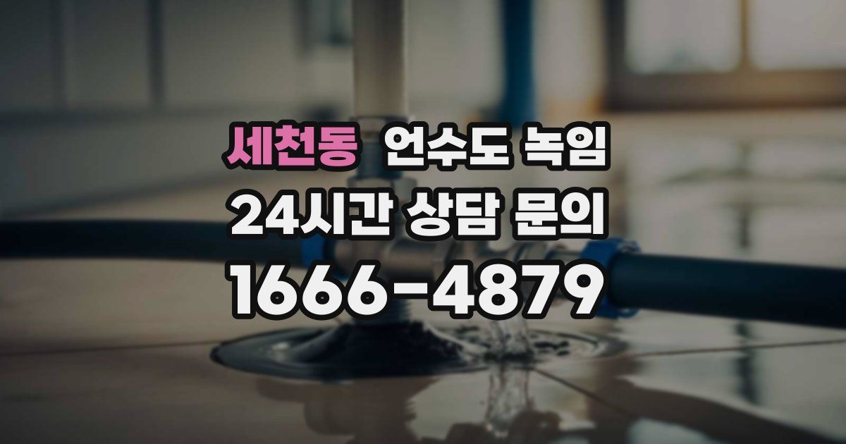 세천동 언수도 녹임