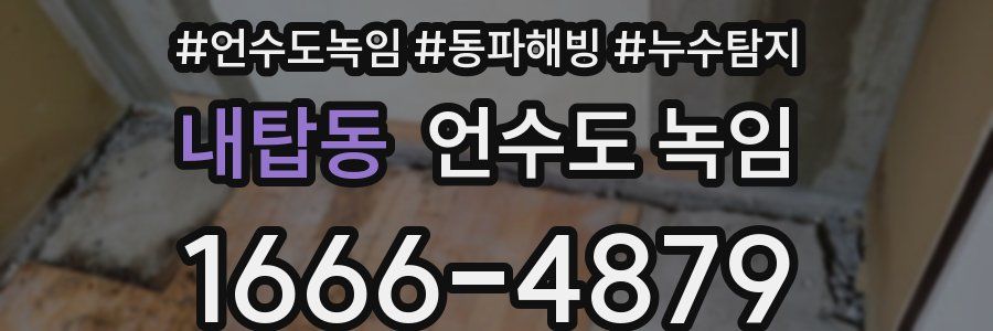 내탑동 언수도 녹임