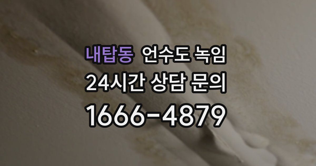 내탑동 언수도 녹임