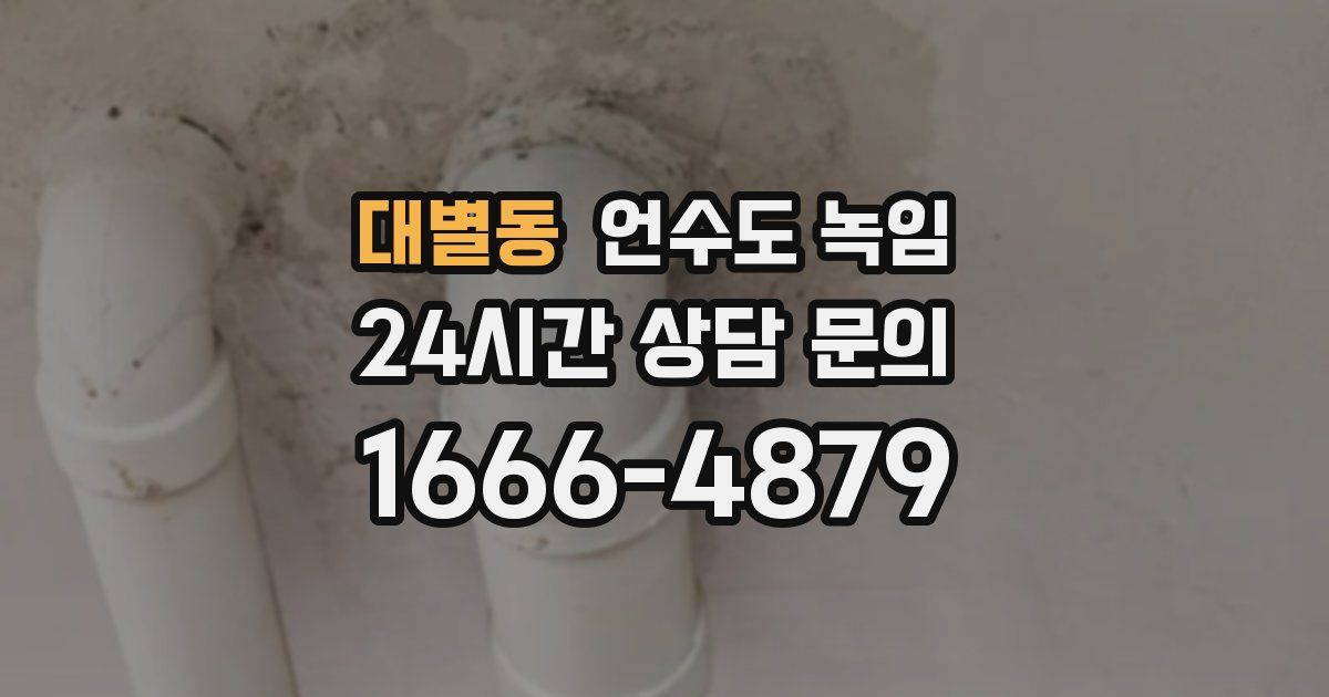 대별동 언수도 녹임