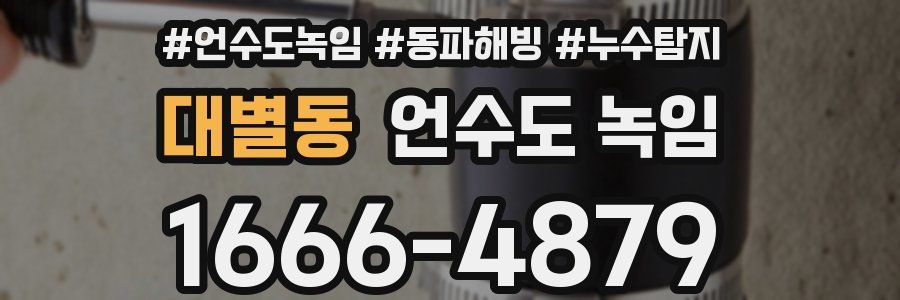 대별동 언수도 녹임