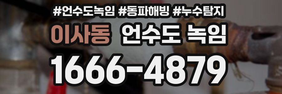 이사동 언수도 녹임