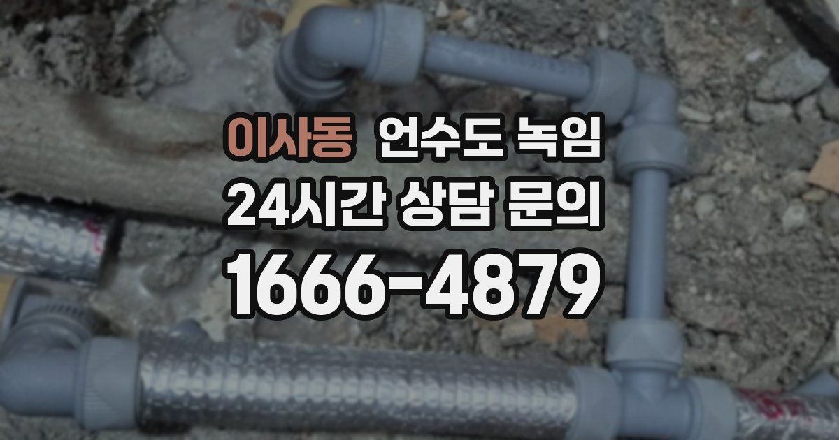 이사동 언수도 녹임