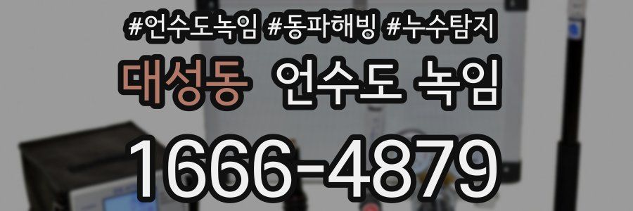 대성동 언수도 녹임