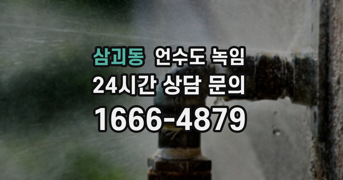 삼괴동 언수도 녹임