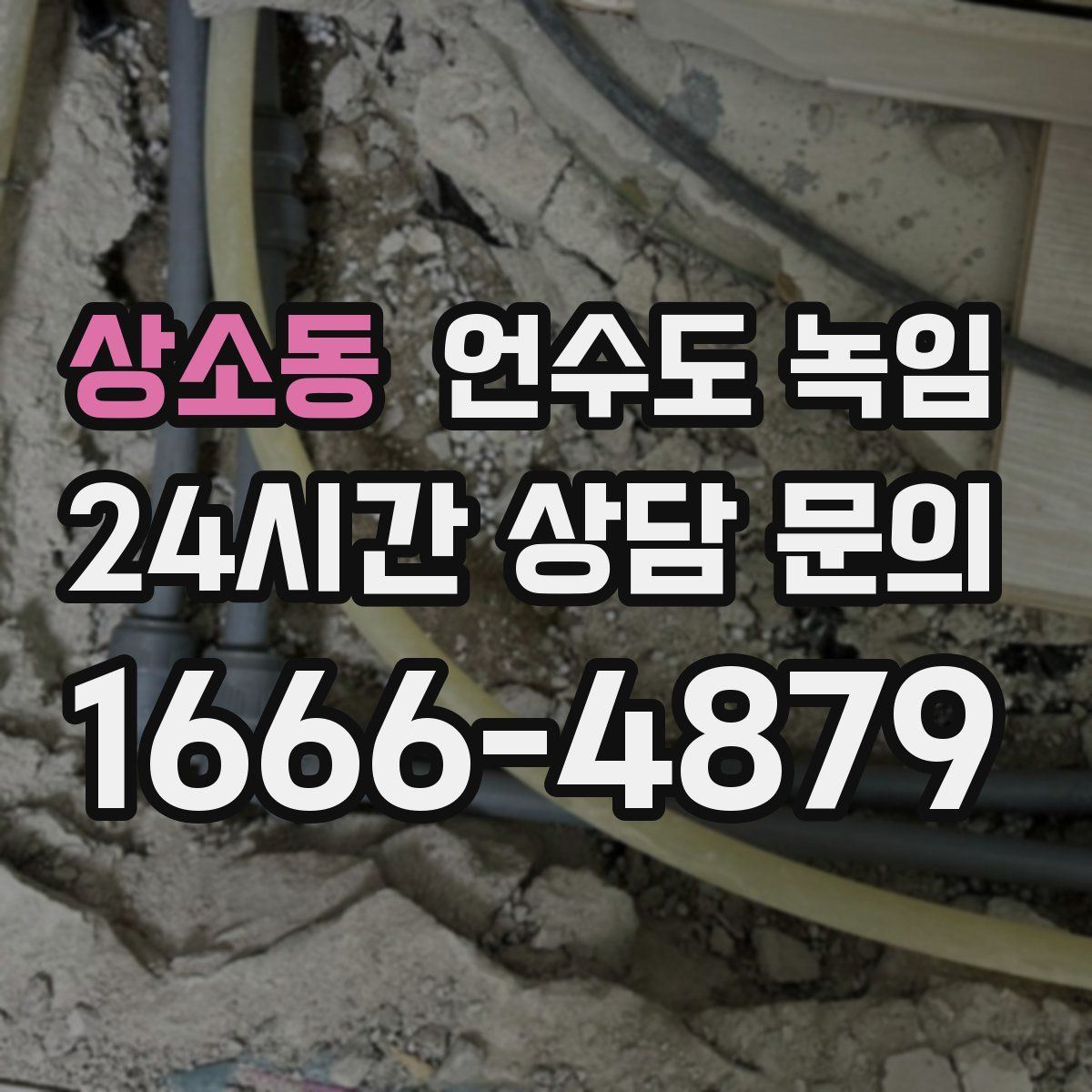 상소동 언수도 녹임