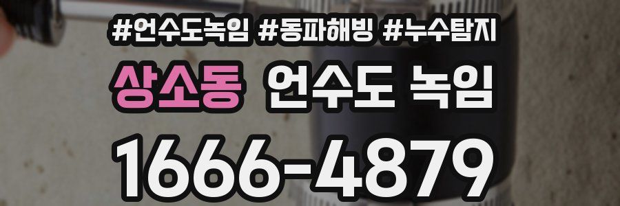 상소동 언수도 녹임