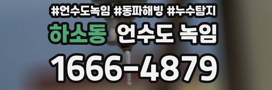 하소동 언수도 녹임