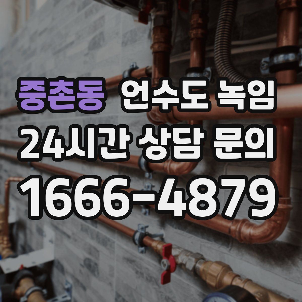 중촌동 언수도 녹임