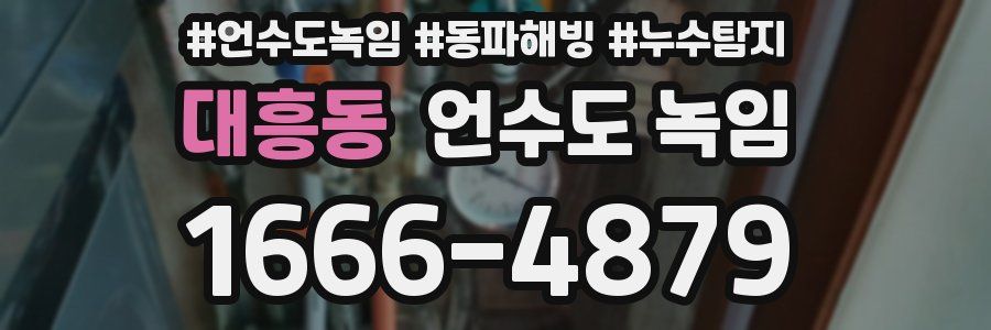 대흥동 언수도 녹임