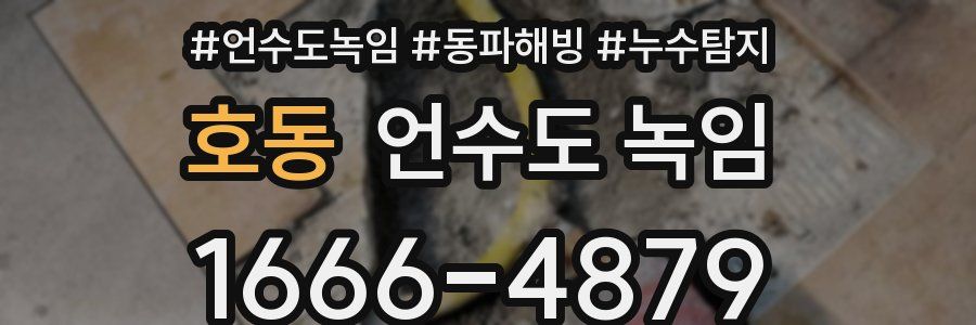 호동 언수도 녹임