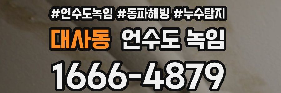 대사동 언수도 녹임