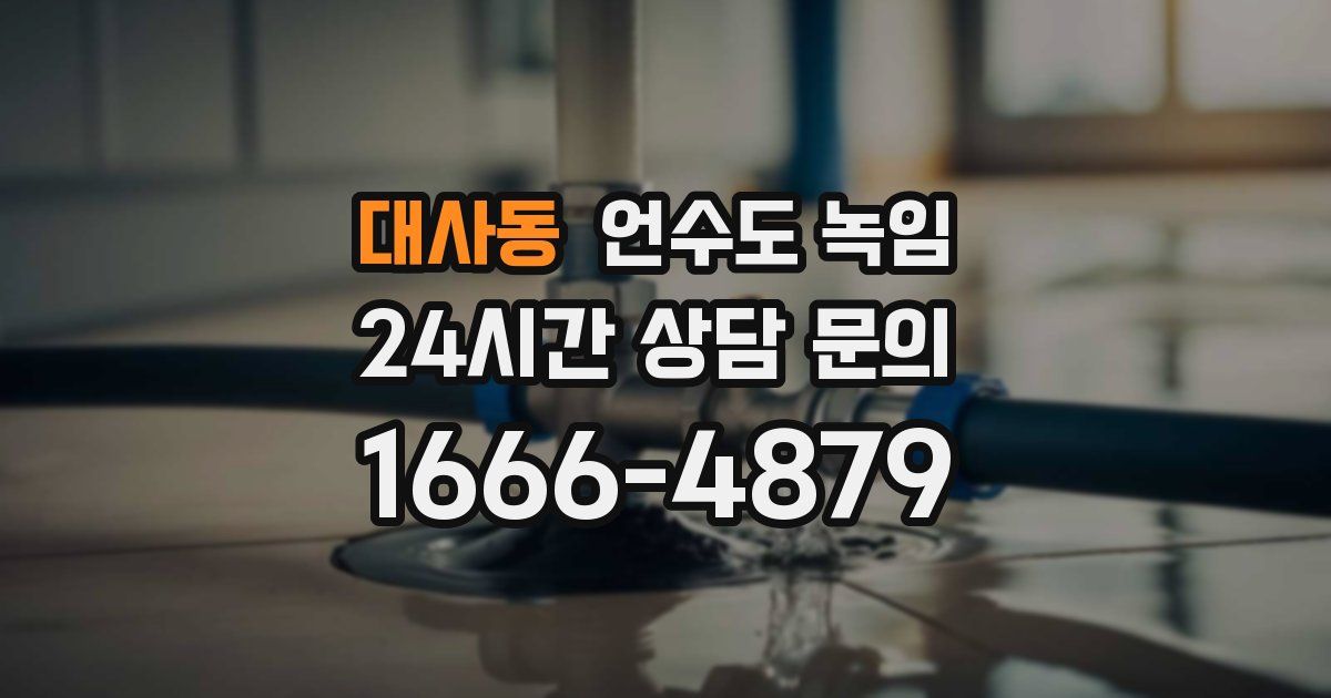 대사동 언수도 녹임