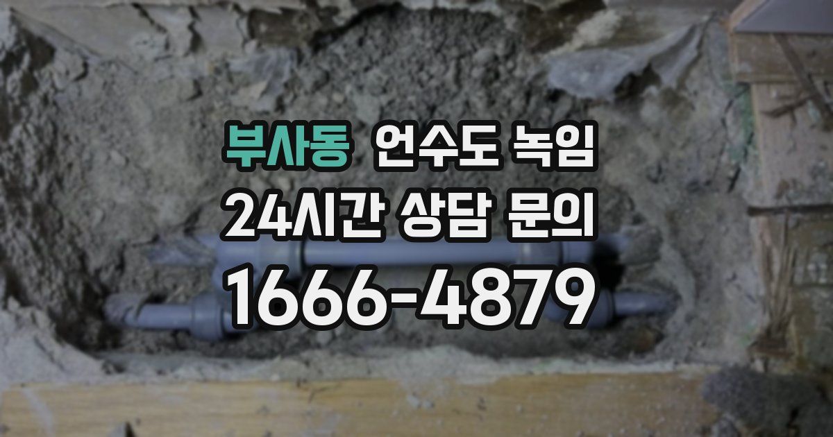 부사동 언수도 녹임