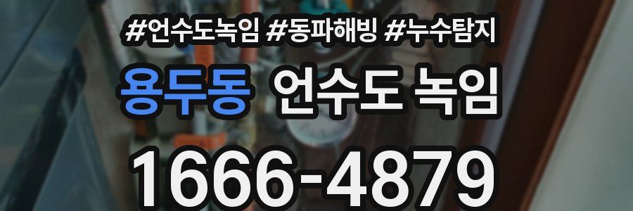 용두동 언수도 녹임