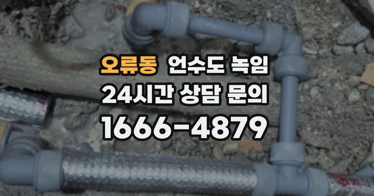 오류동 언수도 녹임