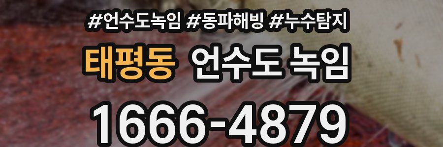 태평동 언수도 녹임