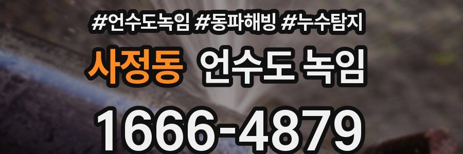 사정동 언수도 녹임