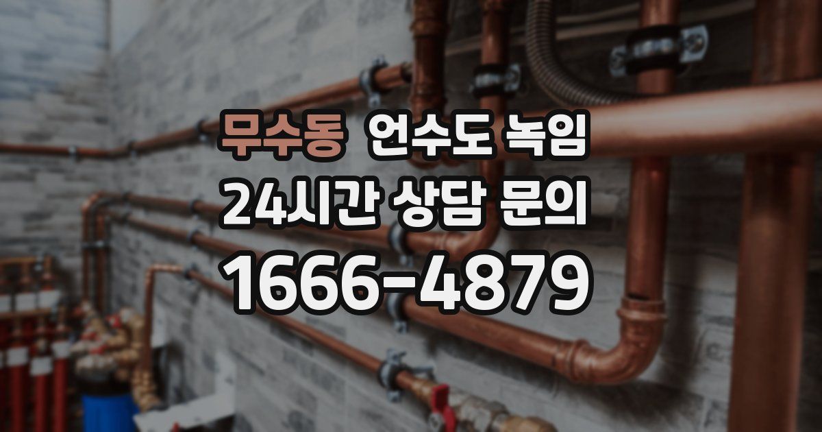 무수동 언수도 녹임