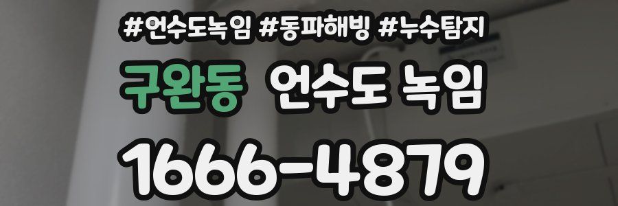 구완동 언수도 녹임