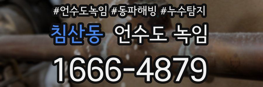 침산동 언수도 녹임