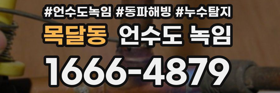 목달동 언수도 녹임