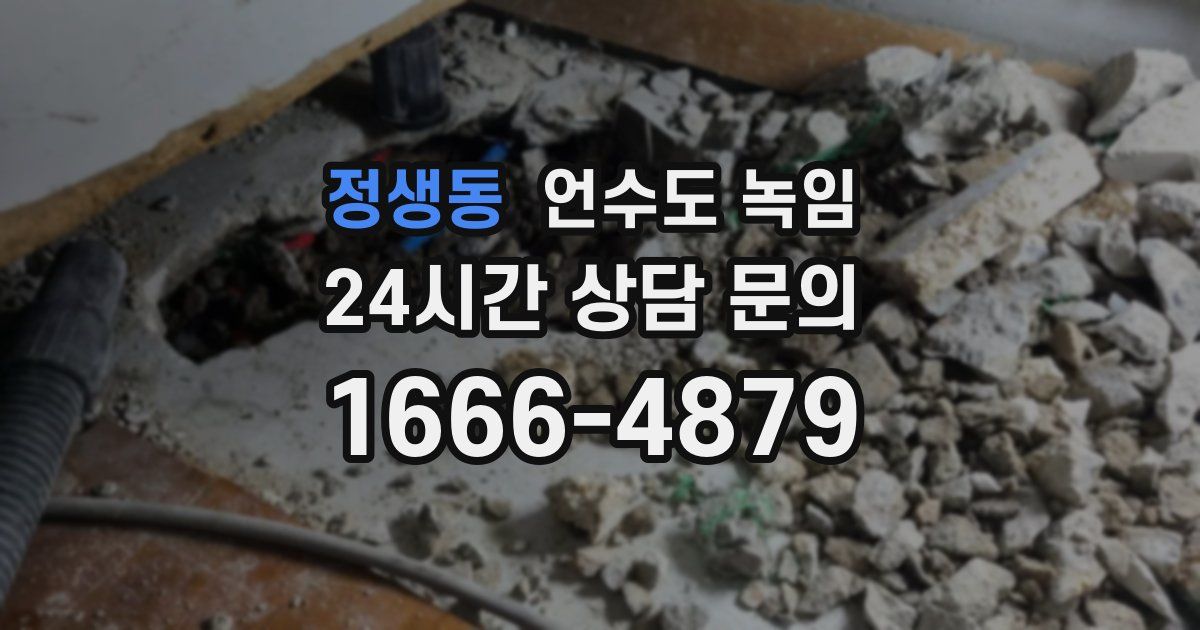 정생동 언수도 녹임
