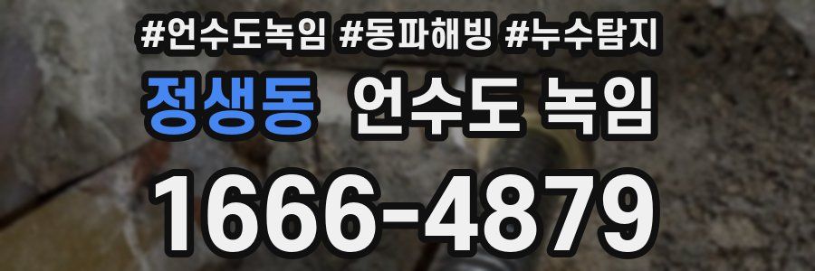 정생동 언수도 녹임