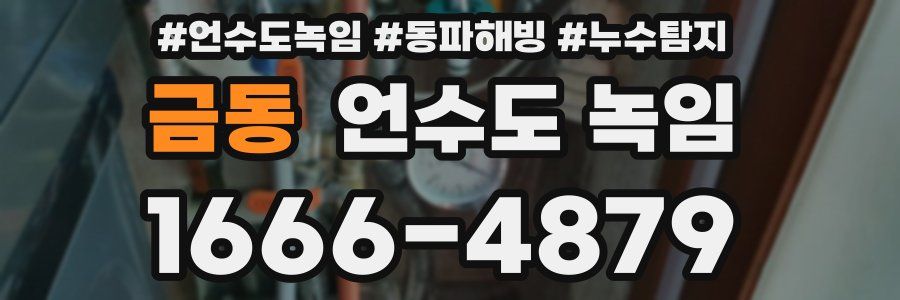 금동 언수도 녹임