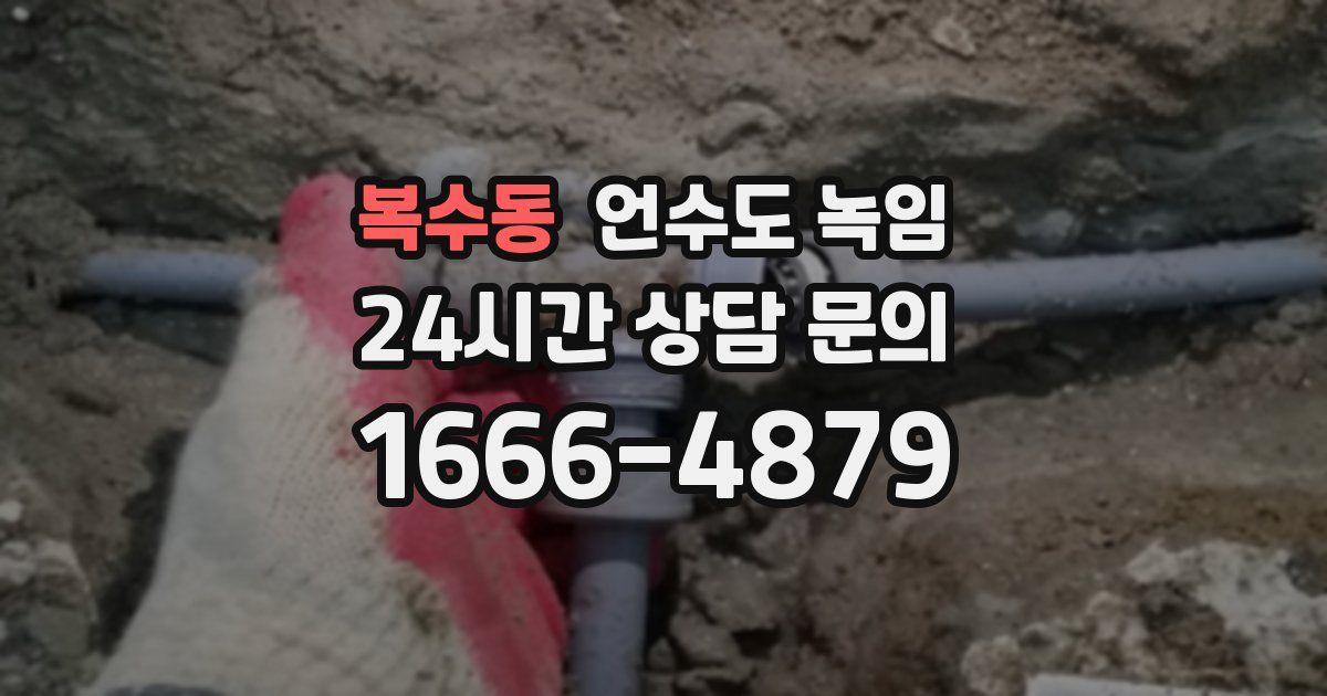 복수동 언수도 녹임