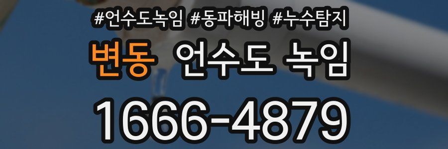 변동 언수도 녹임