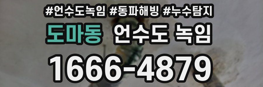 도마동 언수도 녹임