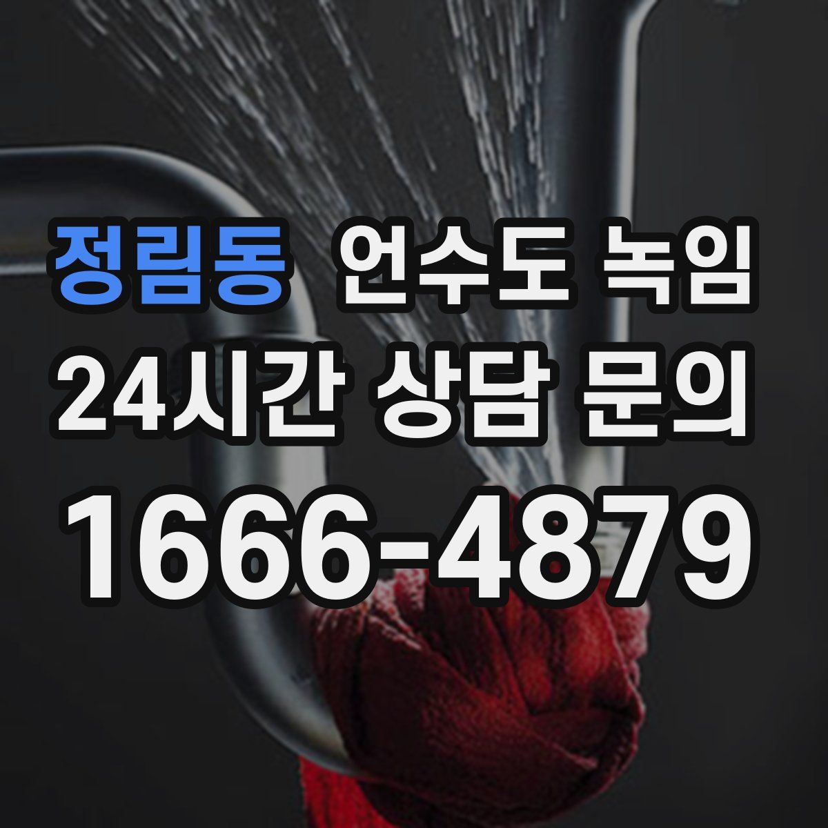 정림동 언수도 녹임
