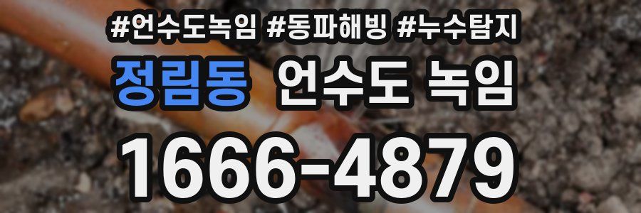 정림동 언수도 녹임