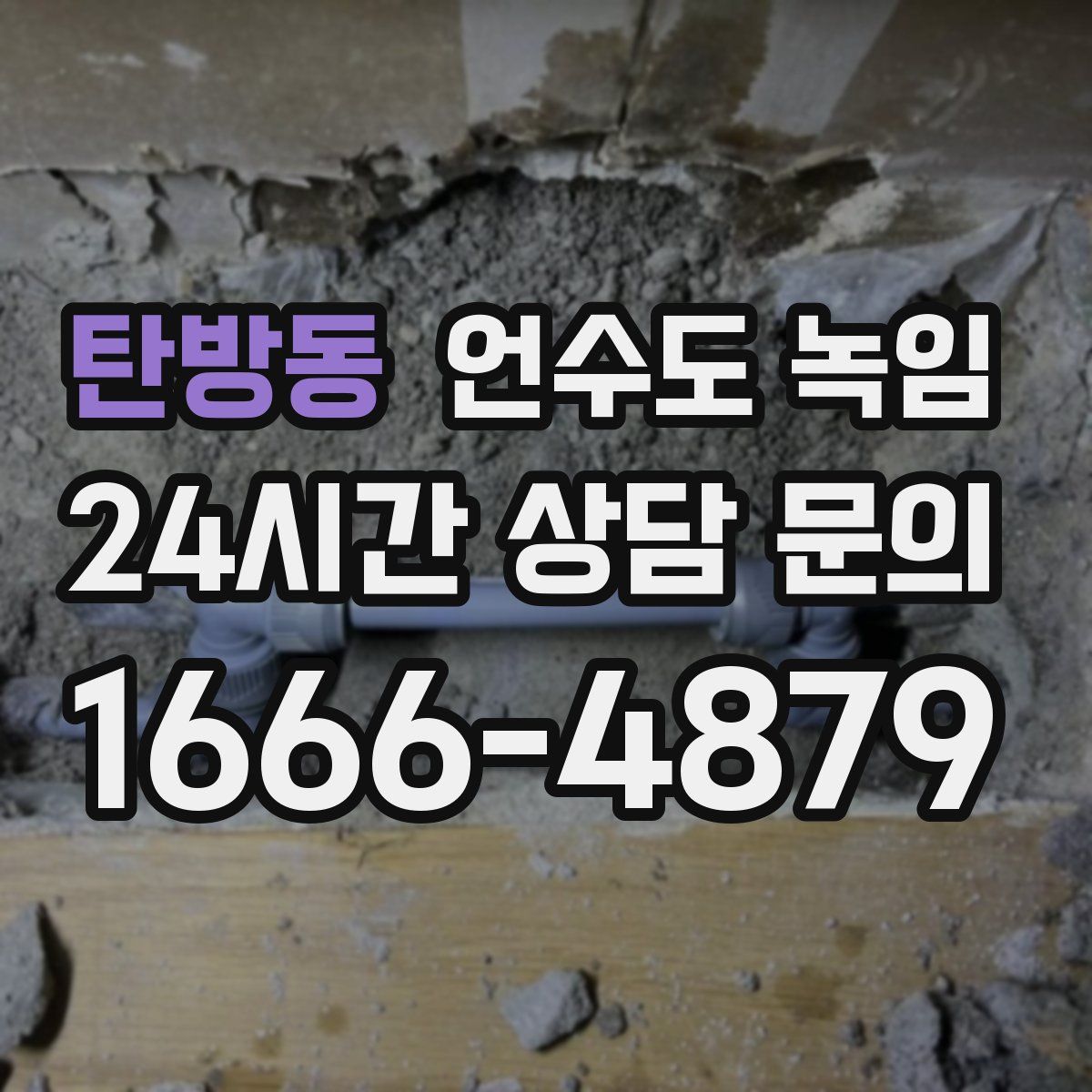 탄방동 언수도 녹임