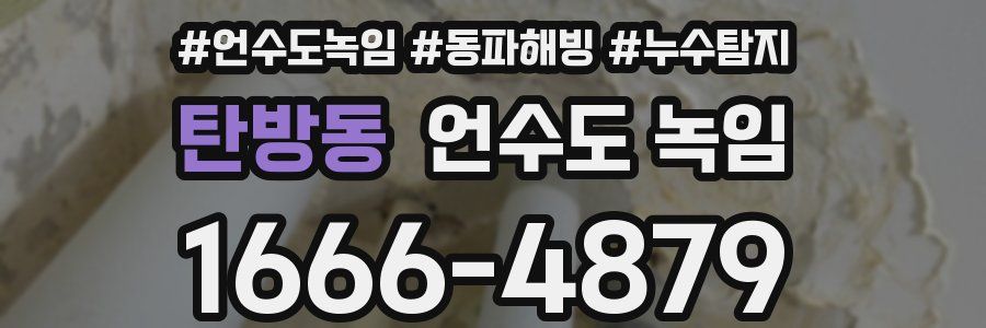 탄방동 언수도 녹임