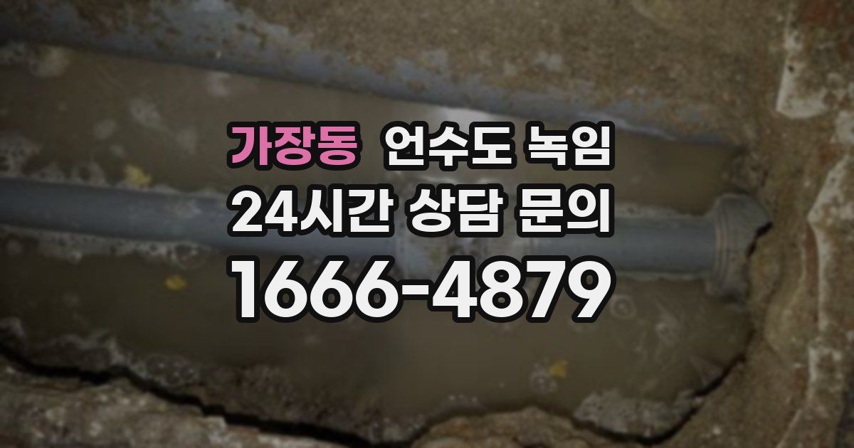 가장동 언수도 녹임