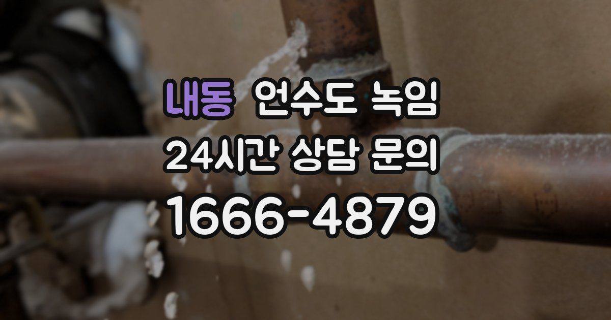 내동 언수도 녹임