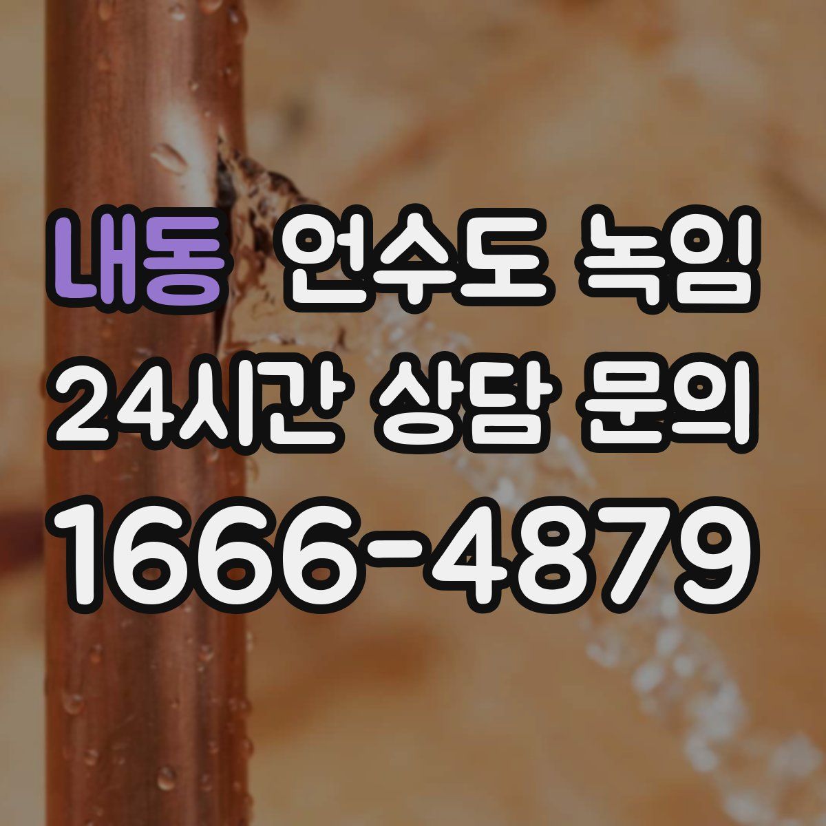 내동 언수도 녹임