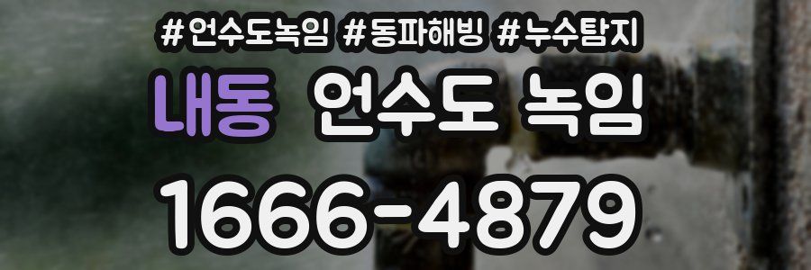 내동 언수도 녹임