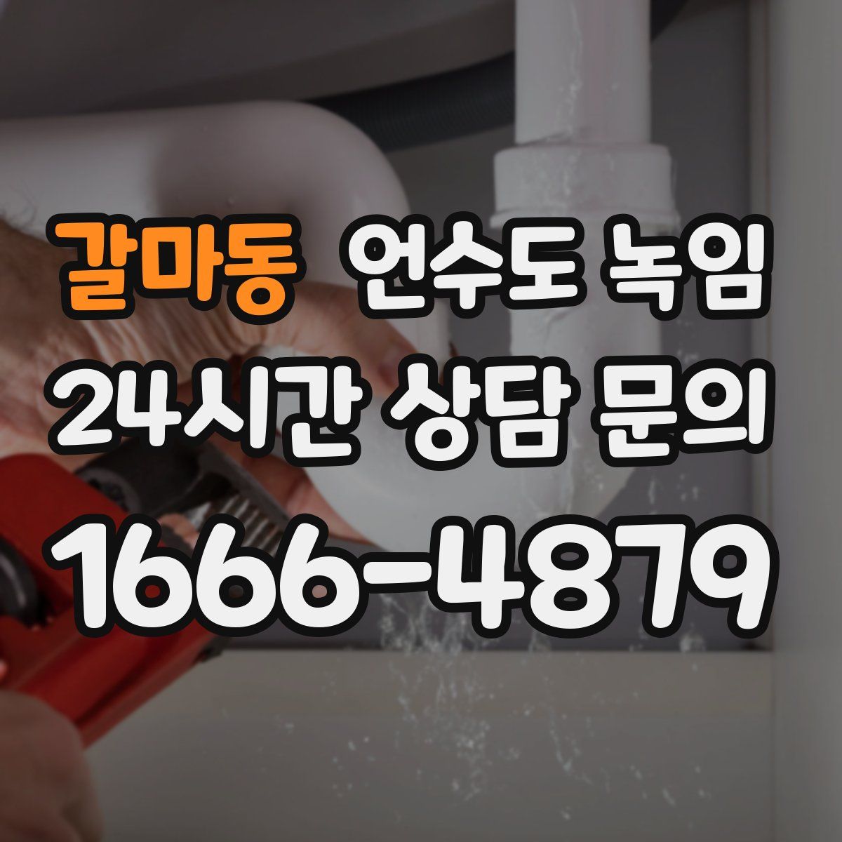 갈마동 언수도 녹임